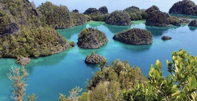 Mempertimbangkan Keseimbangan Antara Aspek Ekonomi dan Ekologi